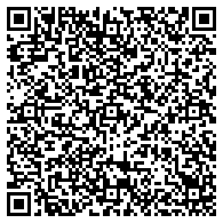 QR-код с контактной информацией организации ИП Андреев В.А.
