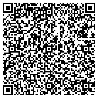 QR-код с контактной информацией организации Vlad Гараж
