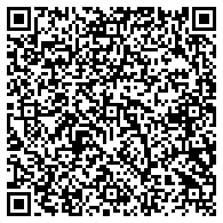 QR-код с контактной информацией организации Шиномонтаж