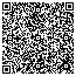 QR-код с контактной информацией организации ДВМ ГРУП