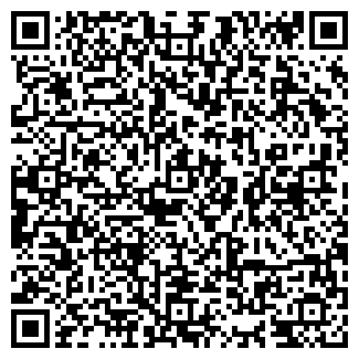 QR-код с контактной информацией организации АЗС Топ Лайн, №17