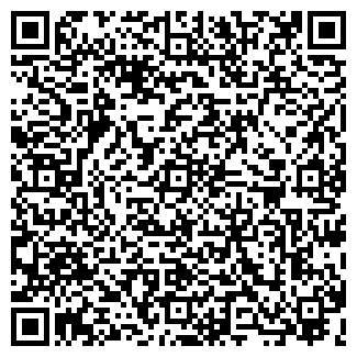 QR-код с контактной информацией организации ПИ-СИ-ЛЭНД