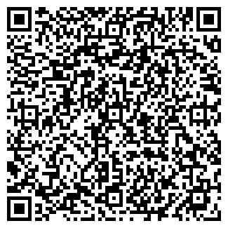 QR-код с контактной информацией организации ООО Рябинка