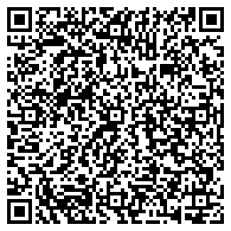 QR-код с контактной информацией организации Детройт