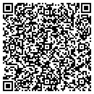 QR-код с контактной информацией организации Бизнес Ай Ти