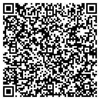 QR-код с контактной информацией организации Венеция