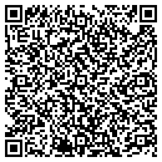 QR-код с контактной информацией организации Шиномонтаж