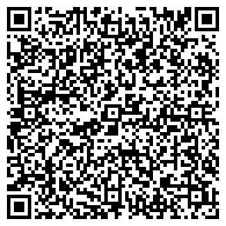 QR-код с контактной информацией организации БСИ-ИНСТРУМЕНТ ЗАО