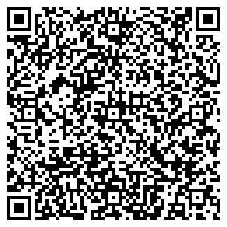 QR-код с контактной информацией организации Дебют Авто