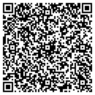 QR-код с контактной информацией организации Викинг