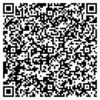 QR-код с контактной информацией организации Автомобильный рай