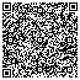 QR-код с контактной информацией организации ДизельСиб