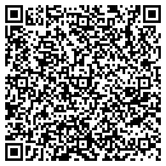 QR-код с контактной информацией организации Pirogi po Komi
