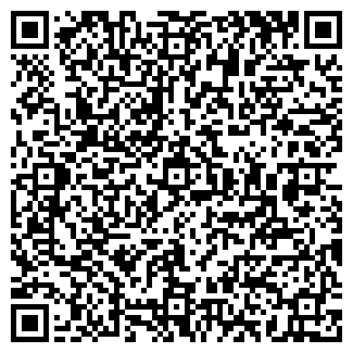 QR-код с контактной информацией организации Wokki-Tokki