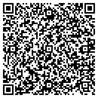 QR-код с контактной информацией организации Киоск по продаже дисков