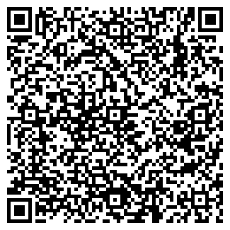 QR-код с контактной информацией организации Абсолют+