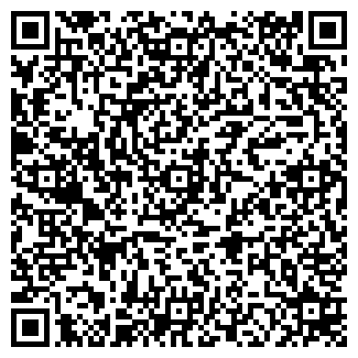 QR-код с контактной информацией организации Ё-Суши-Пицца