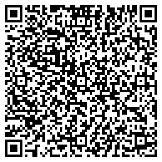 QR-код с контактной информацией организации ИП Дубс Г.А.