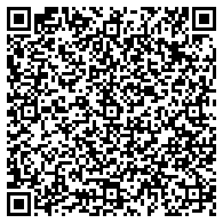 QR-код с контактной информацией организации Авто-парк