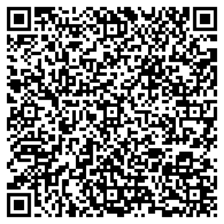 QR-код с контактной информацией организации ИП Королев А.А.
