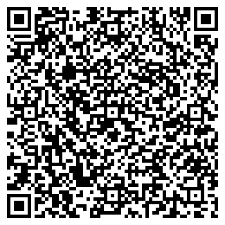 QR-код с контактной информацией организации Чайка