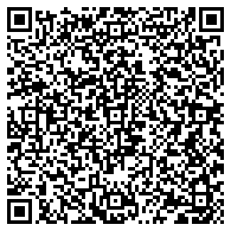 QR-код с контактной информацией организации ХИМЧИСТКА