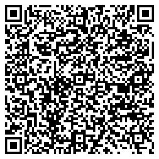 QR-код с контактной информацией организации Вилла, ресторан