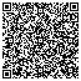 QR-код с контактной информацией организации Алиса
