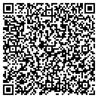 QR-код с контактной информацией организации Русское бистро