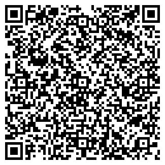 QR-код с контактной информацией организации ИП Рогов О.В.