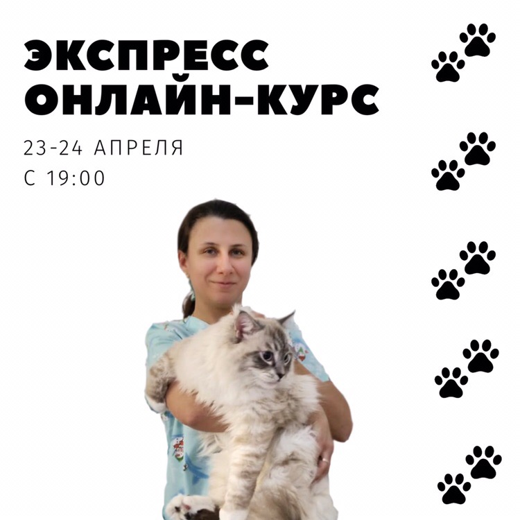 Бесплатная консультация ветеринара круглосуточно. Ветеринарный консультант, Москва.