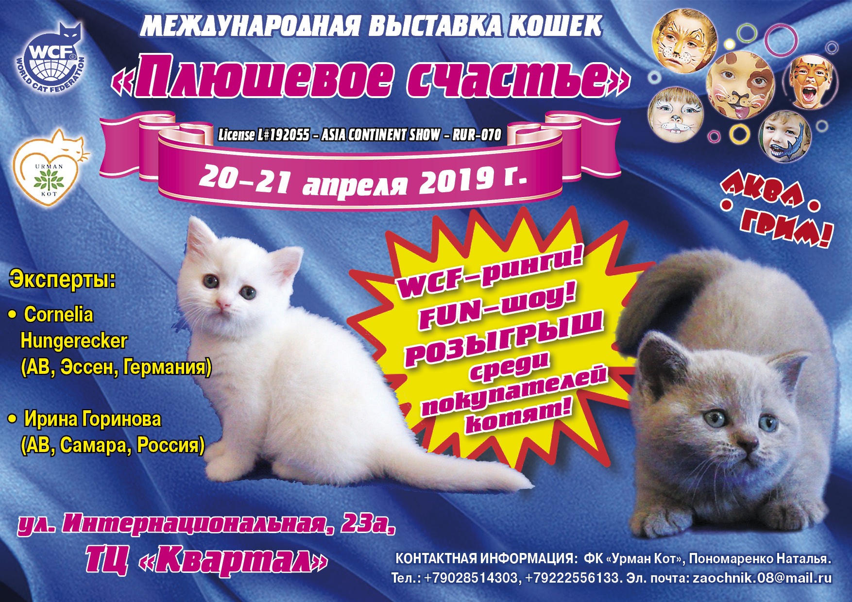 Билет на выставку кошек. Выставка кошек в Нижневартовске. Выставка кошек Мурманск. Белгородская кошка.