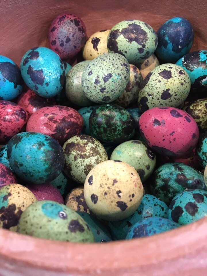 Перепелиные яйца на пасху