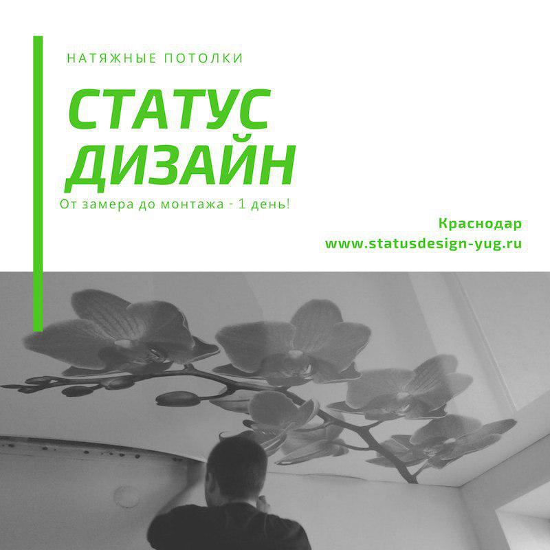 Курсы дизайна краснодар. Статус дизайн. Натяжные потолки в Ейске. Статус дизайнера интерьера. Компания статус Краснодар.