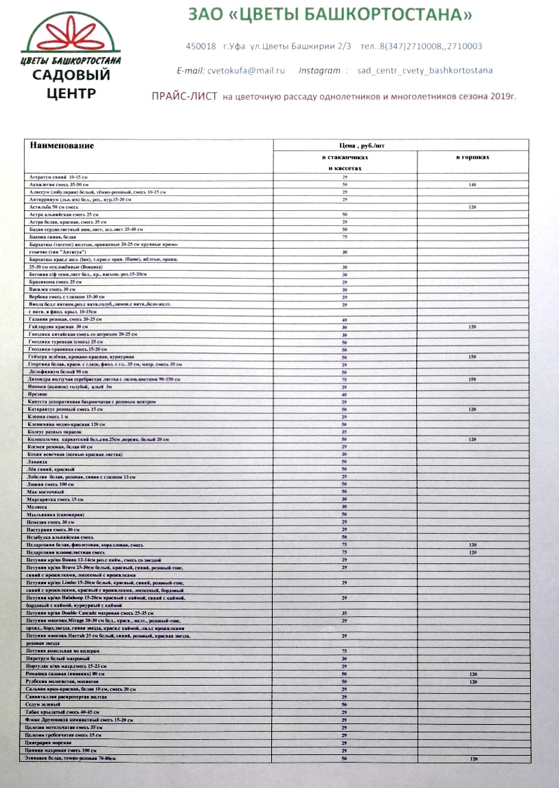 Уфа прайс. Прайс лист рассады. Цветы прейскурант. Прейскурант цветочного магазина. Прайс лист на цветы.