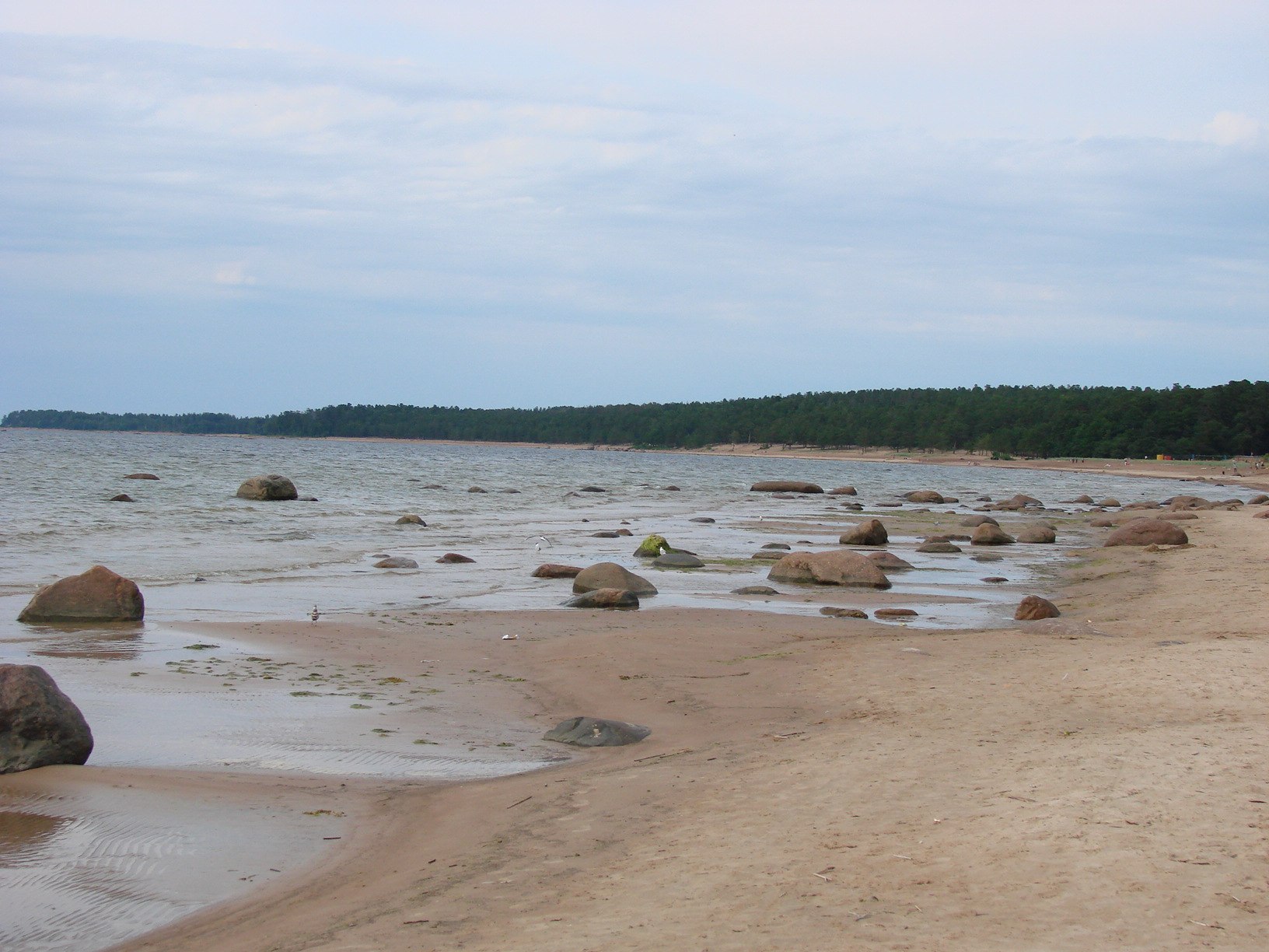 Большая Ижора берег финского залива