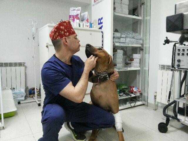самая хорошая ветеринарная клиника в москве