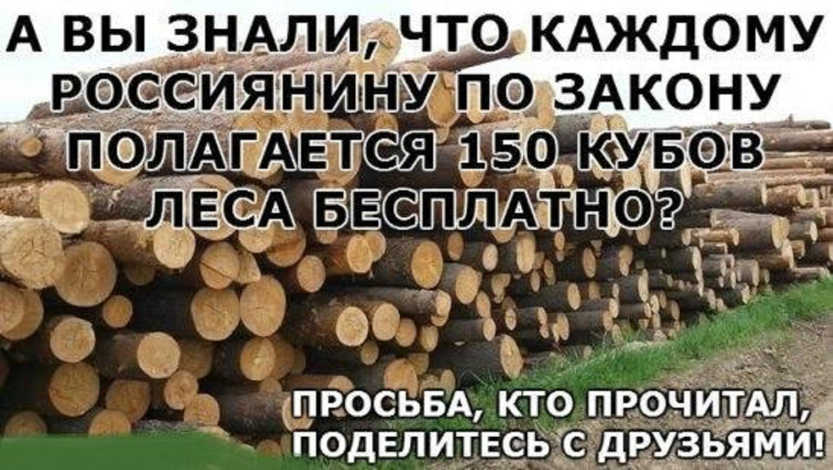 30 кубов леса