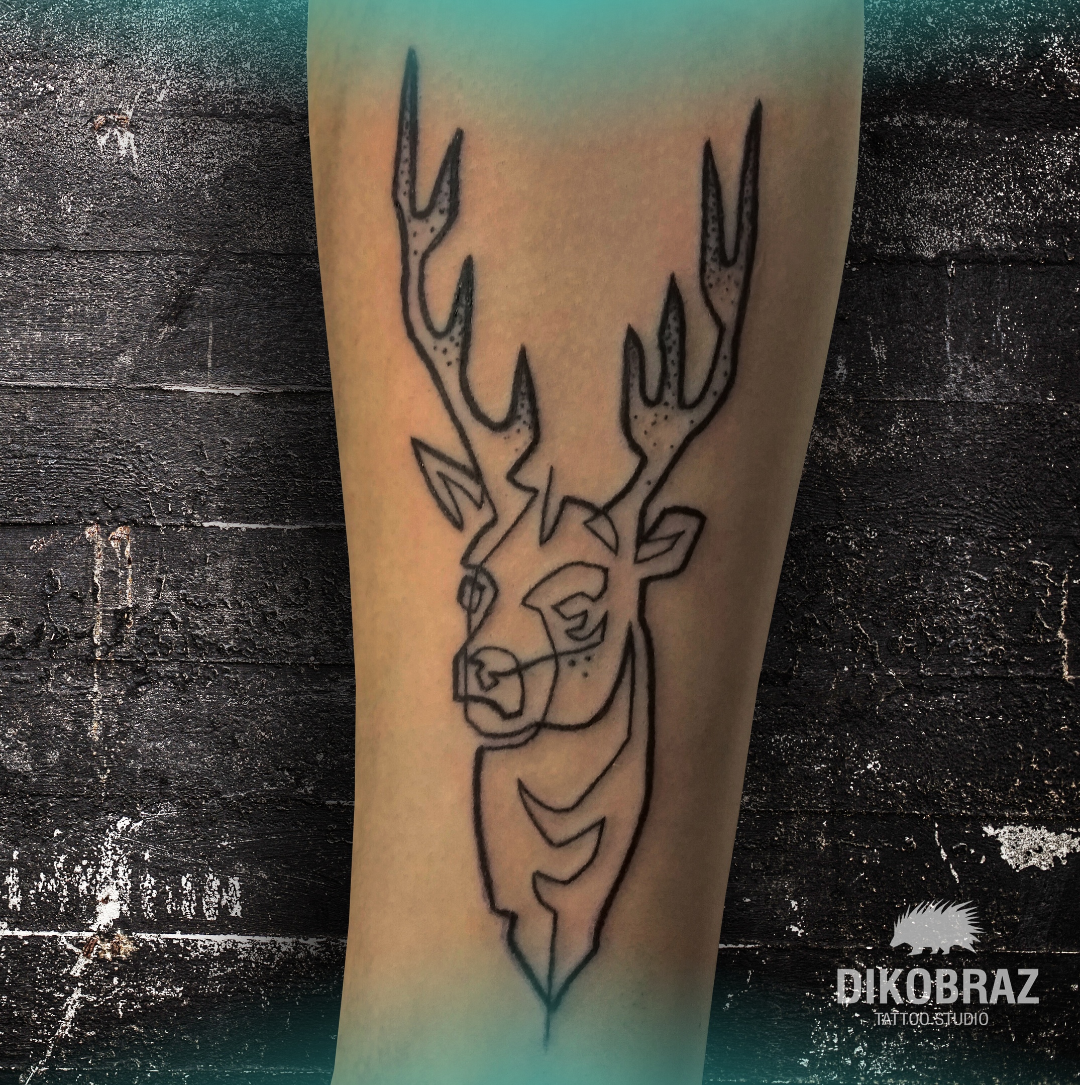 DIKOBRAZ TATTOO Санкт-Петербург - телефон, адрес, контакты. Отзывы о  DIKOBRAZ TATTOO (Центральный район), вакансии