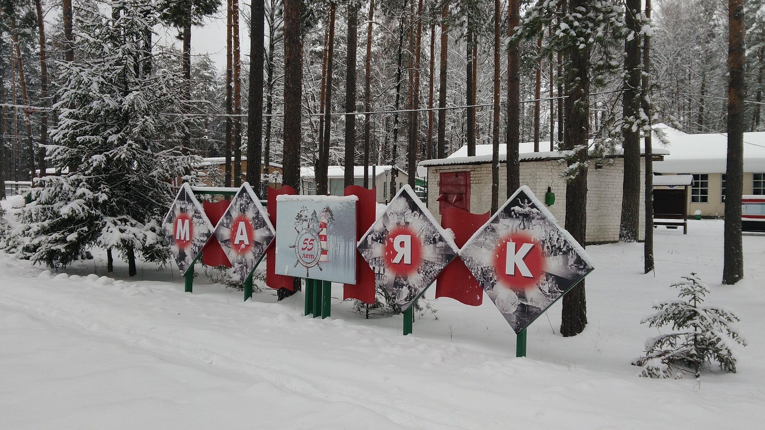 Детский оздоровительный лагерь 