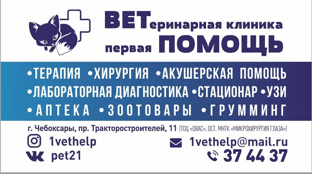 Круглосуточный ветеринарная чебоксары. Ветеринар круглосуточно владикавказ. Круглосуточный ветеринарная чебоксары. Круглосуточный ветеринарная чебоксары. Круглосуточный ветеринарная чебоксары.