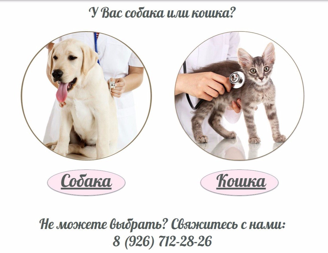 Ветеринарная клиника 