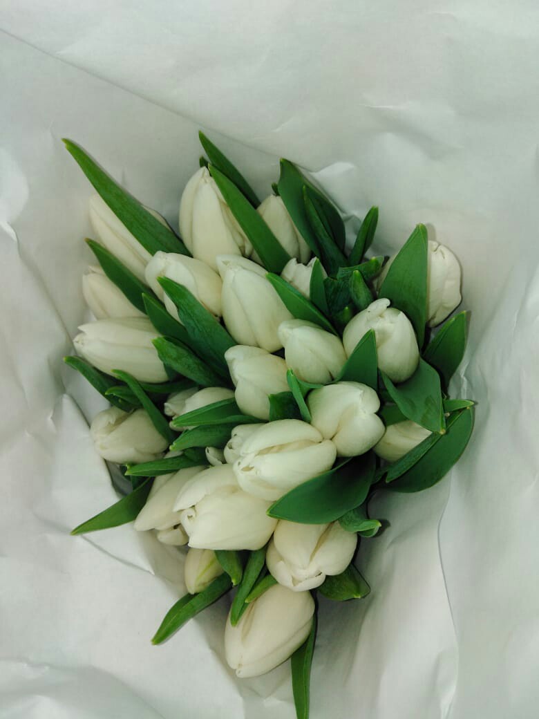 Best flora. Best flora. Бэст картинки. Чемодан best bags купить. Best flora.