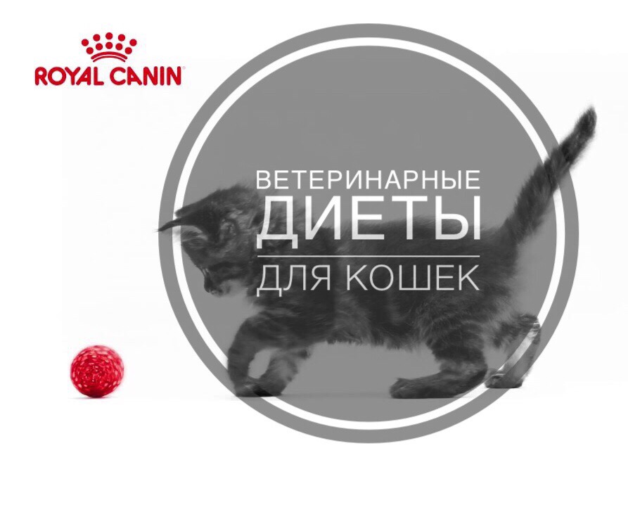 Юрга тамасина Юрга тамасина