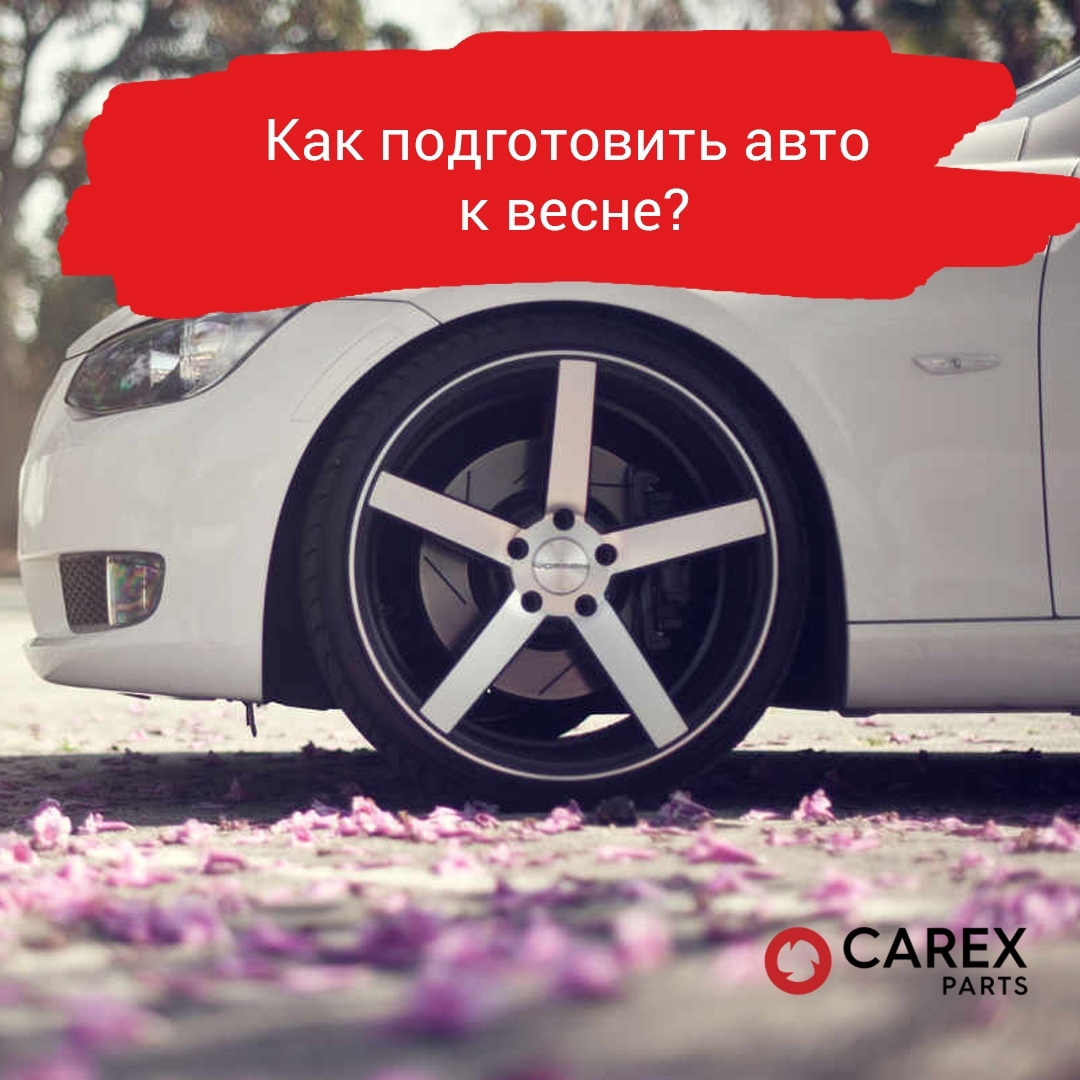 Carex Parts Владимир - телефон, адрес, контакты. Отзывы о Carex Parts ( Владимир), вакансии