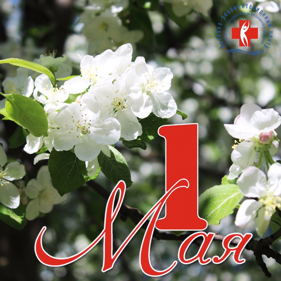 1 мая 81. Поздравление с 1 мая. 1 Мая цветы. Доброе утро 1 мая. С днем 1 мая.