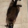 Аватар пользователя Oleg