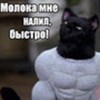 Аватар пользователя Владимир Семенов