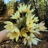Аватар пользователя Катюша Мальцева