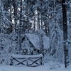 Аватар пользователя Карина Александрова